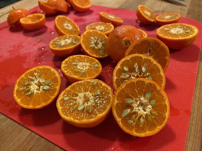 sliced mandarins for juicing
