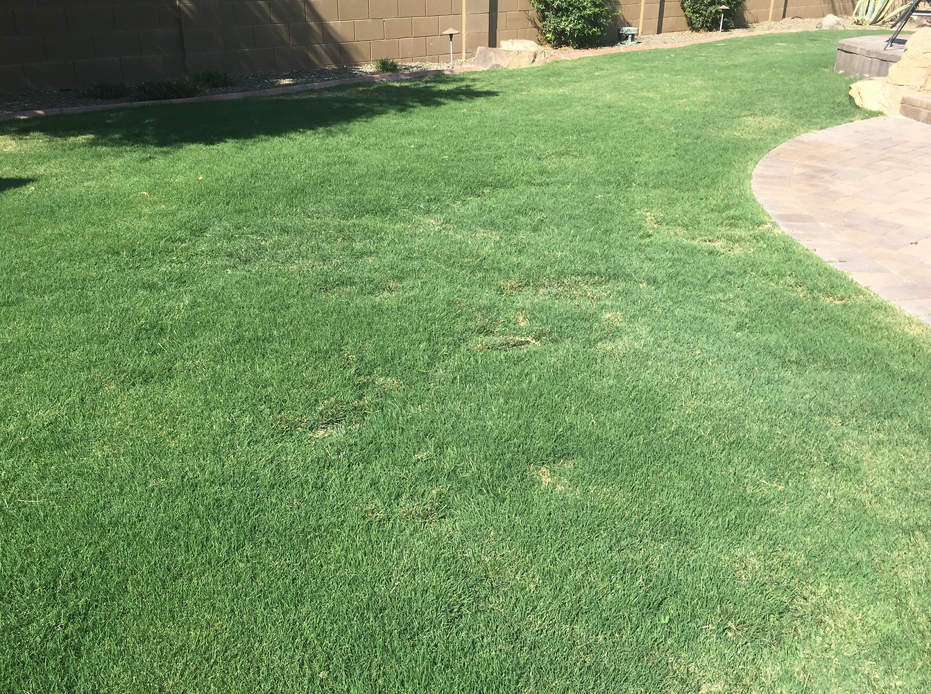 Watering strategies to fix this bad area - Archive - Rachio Community