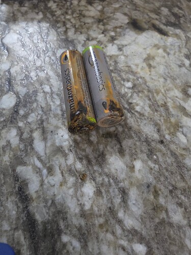 17556628479198837877773264436755