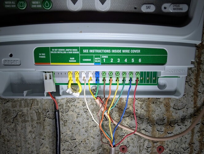 rainbird